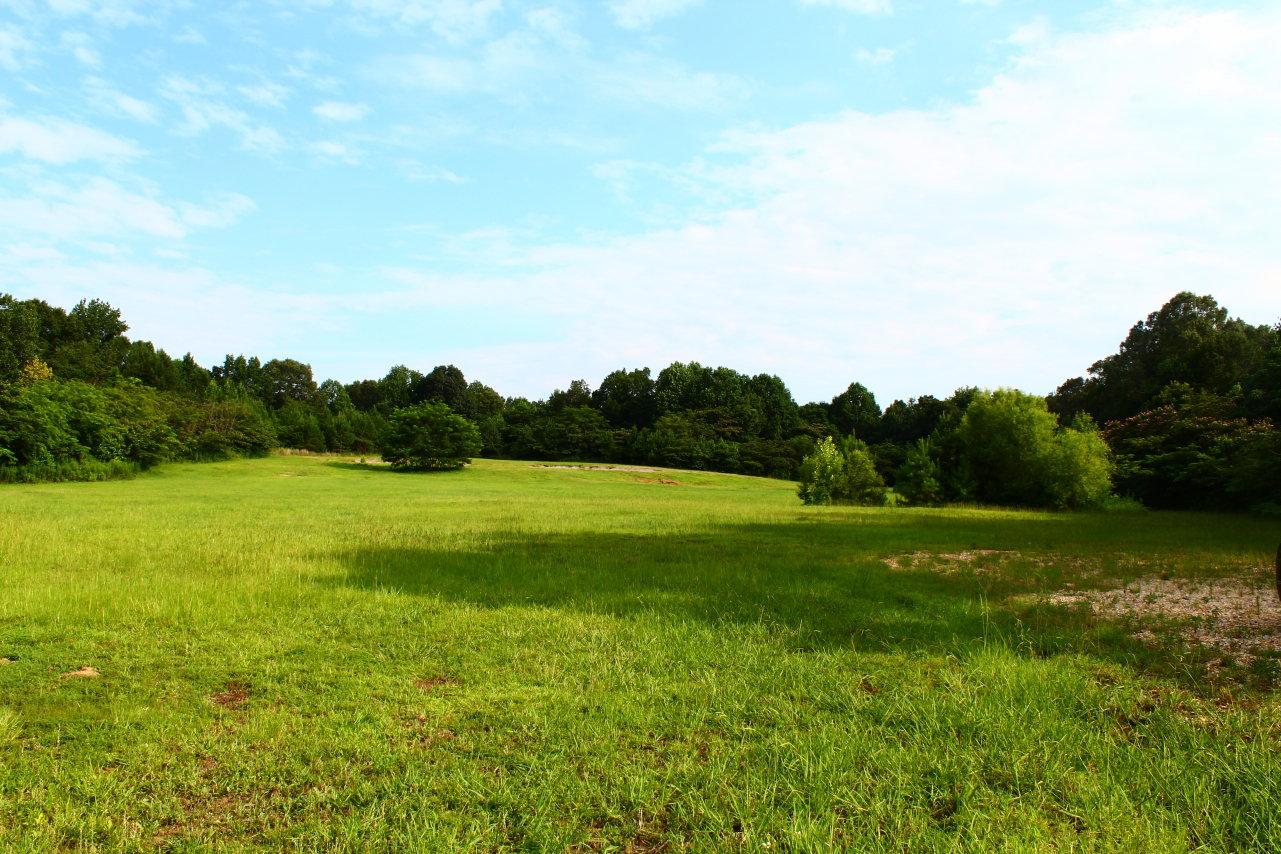 Elvis Presley's Home & 16.5 Acres Played on as a Child