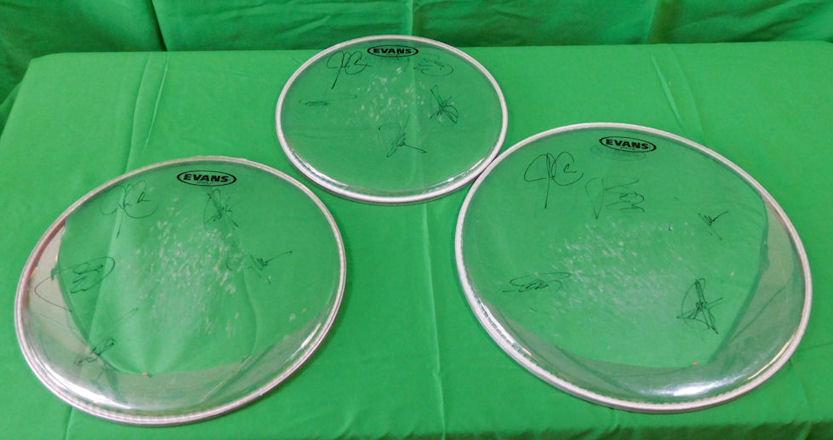 3 REO Speedwagon Autographed Drum Heads