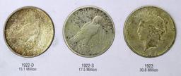 Partial Peace Silver Dollar Collection In Folder, 17 Peace Dollars, Condition As Shown