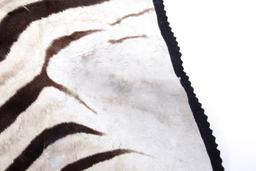 Taxidermy Zebra Hide Pelt Rug