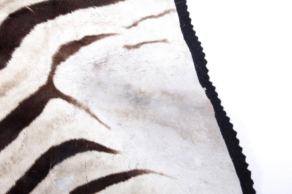 Taxidermy Zebra Hide Pelt Rug