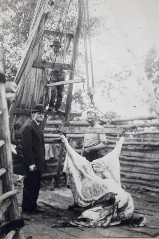 Richard Throssel Crow Indian Photograph c. 1909