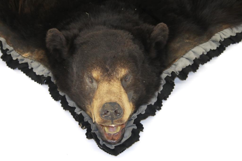 Montana Trophy Taxidermy Black Bear Felted Rug