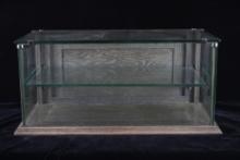 1910s Wilmarth Glass & Wood Display Case