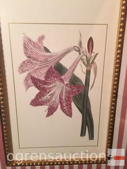 Artwork - Floral prints, framed and matted, 13.5"wx23.5"h