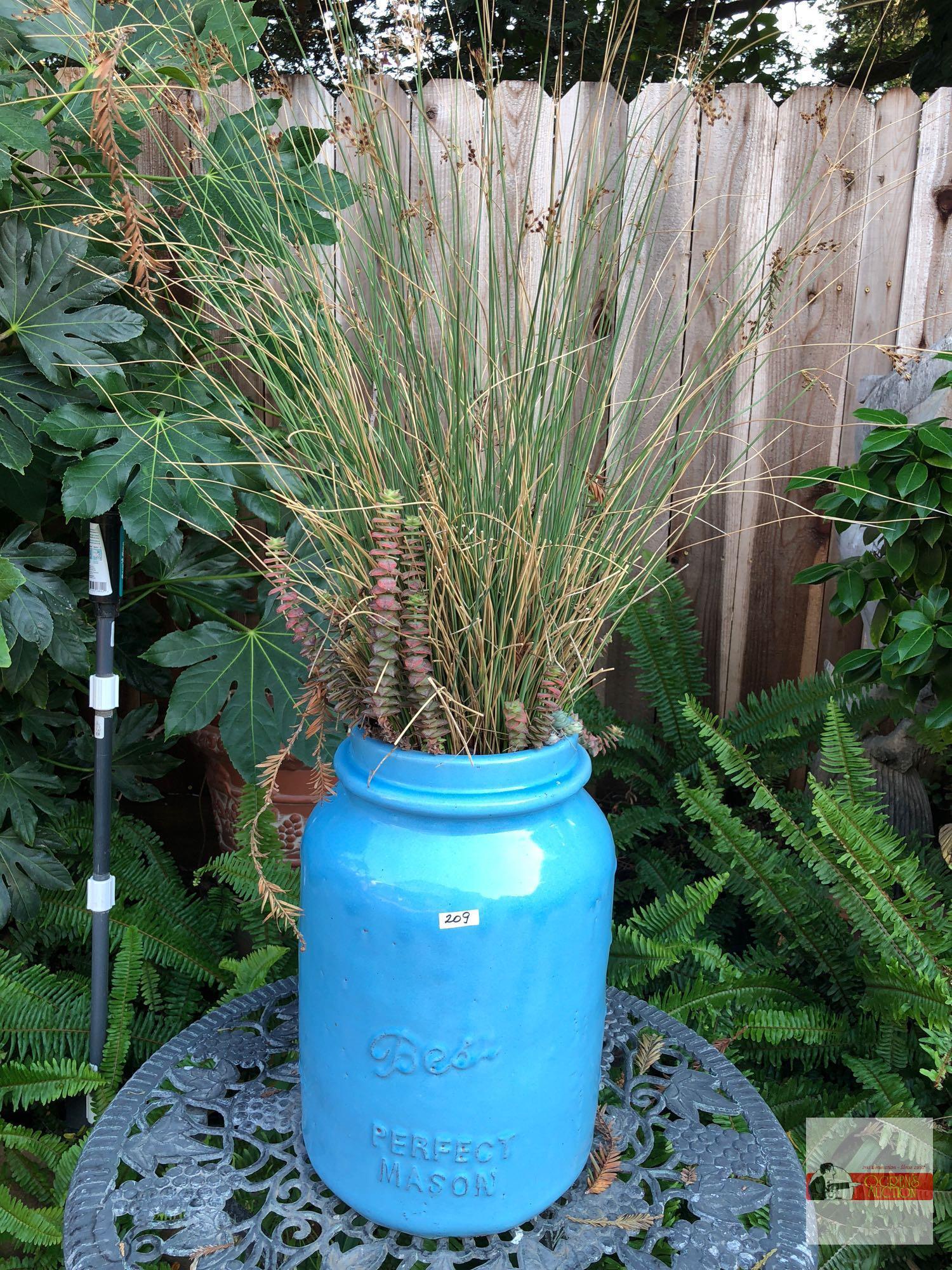 Yard & Garden - Lg. blue Perfect Mason pottery crock, potted wheat grass, 16.5"hx11"w (43"h)