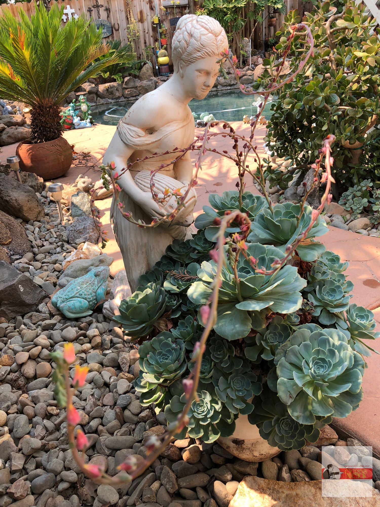 Yard & Garden - Woman w/urn statuary planter, potted hens/chickens, 32"hx18"wx22"d, natural cracking