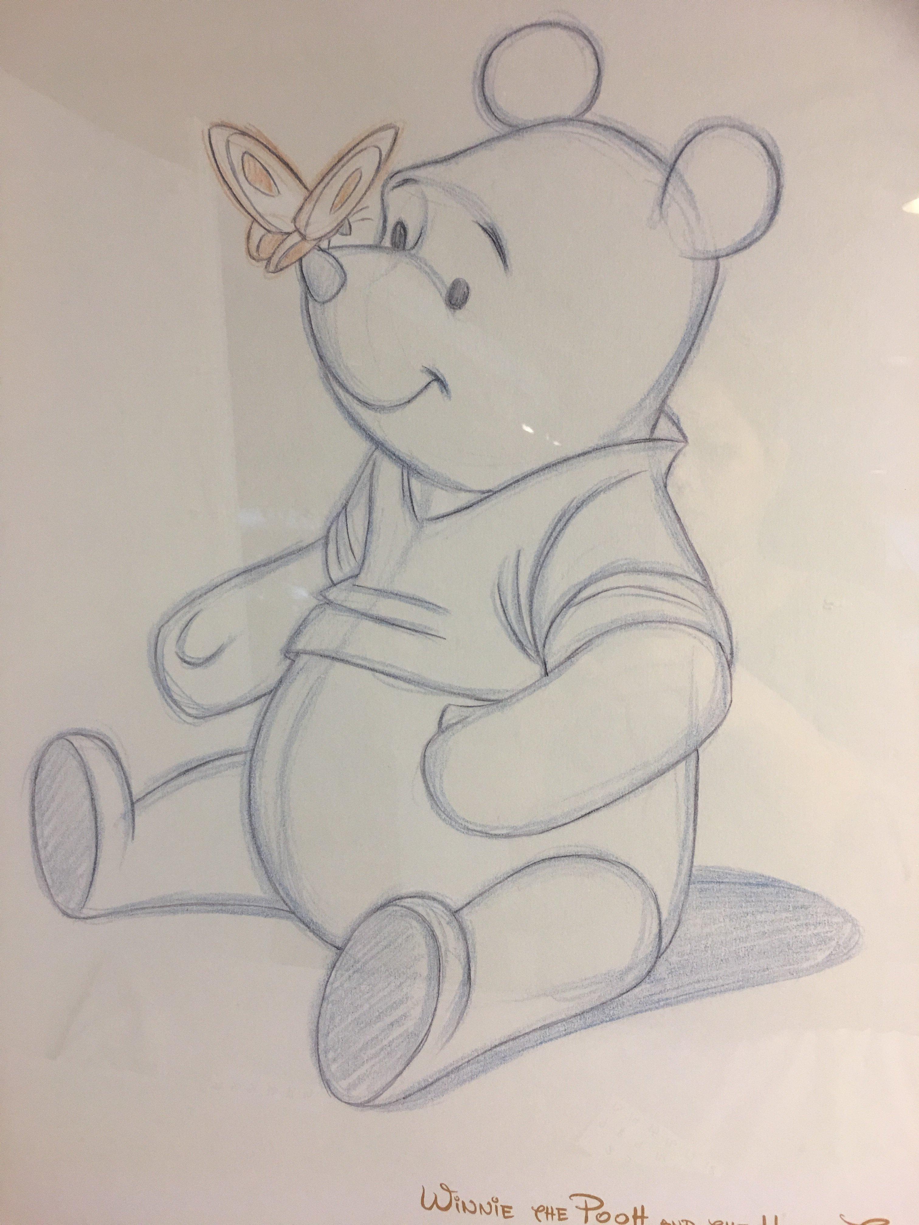 The Walt Disney " Winnie the Pooh and The Honey Tree 1966 Sketch Framed Size:35"Tall by 25"Width