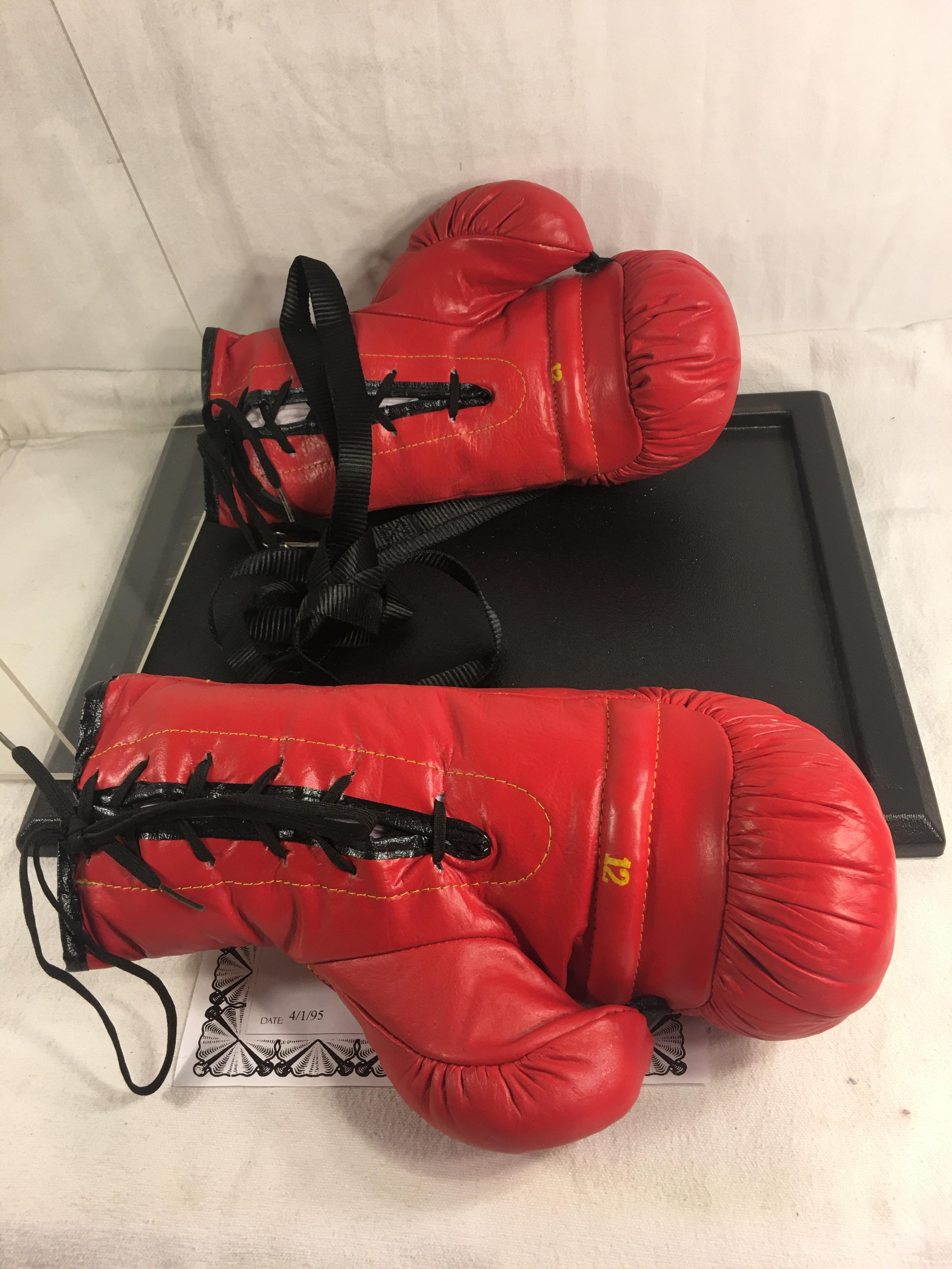 Collector Everlast Boxing Gloves Signed by Mike Tyson in Case w/ COA - See Pictures