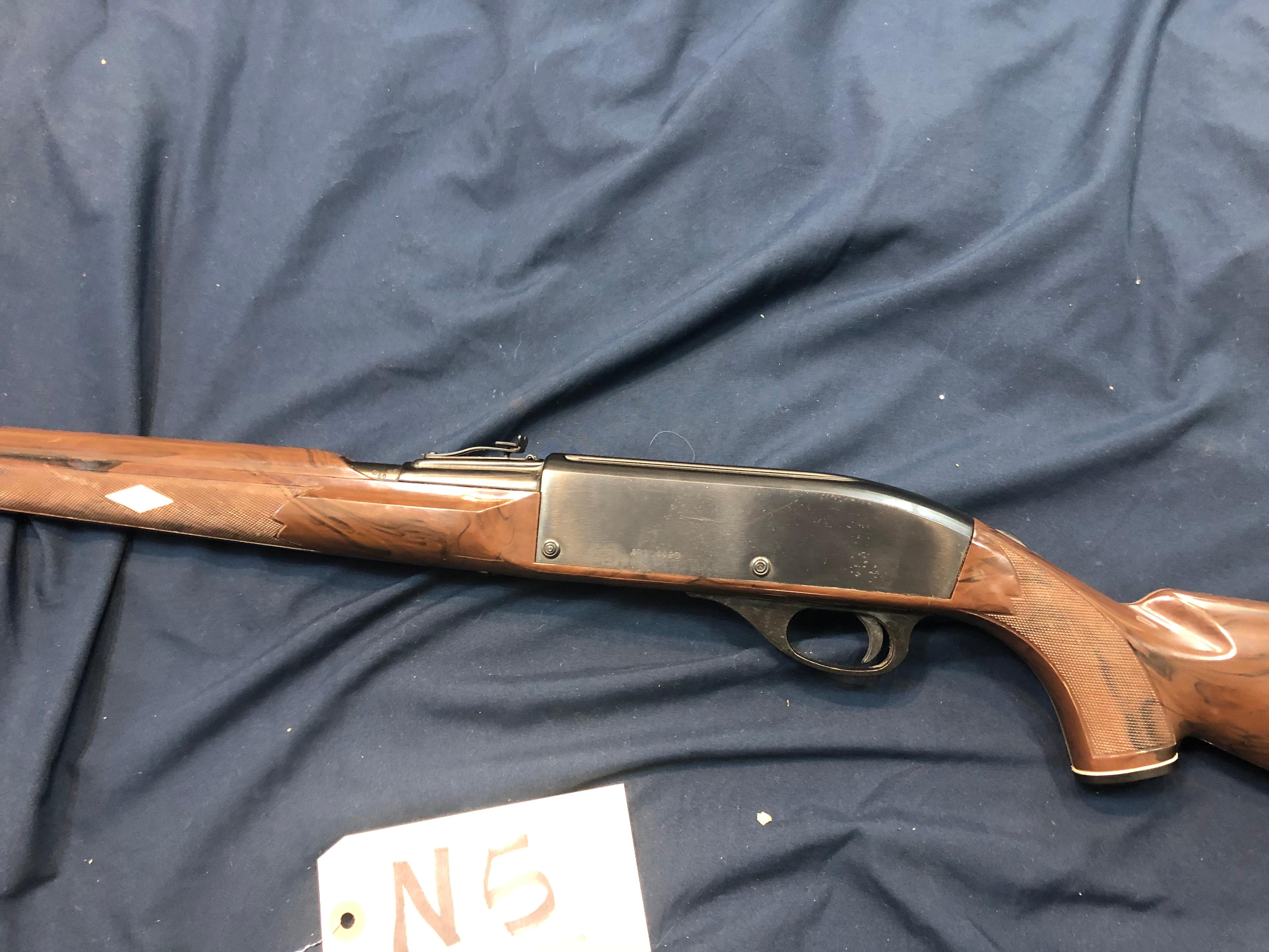 Remington Nylon 66 22LR