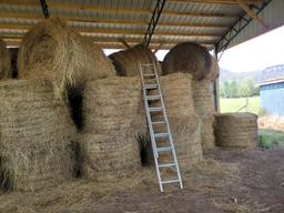 4X5 ROUND BALES OF GRASS HAY (30 ROLLS FOR ONE MONEY), LOCATED OFFSITE, BUY