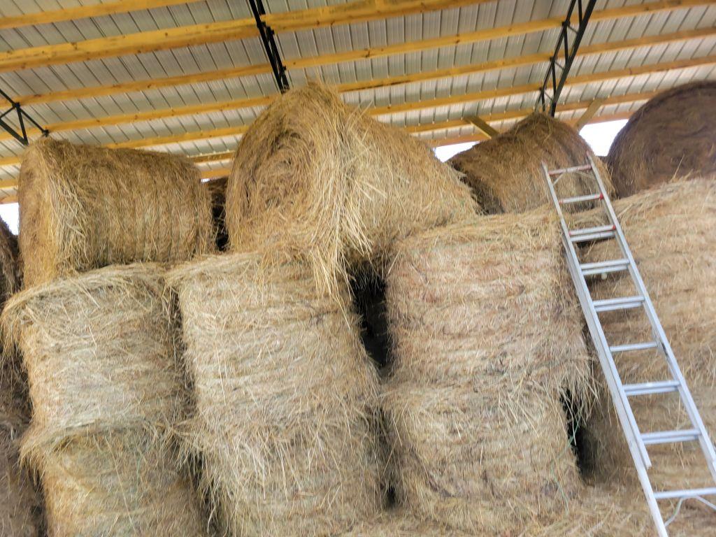 4X5 ROUND BALES OF GRASS HAY (30 ROLLS FOR ONE MONEY), LOCATED OFFSITE, BUY