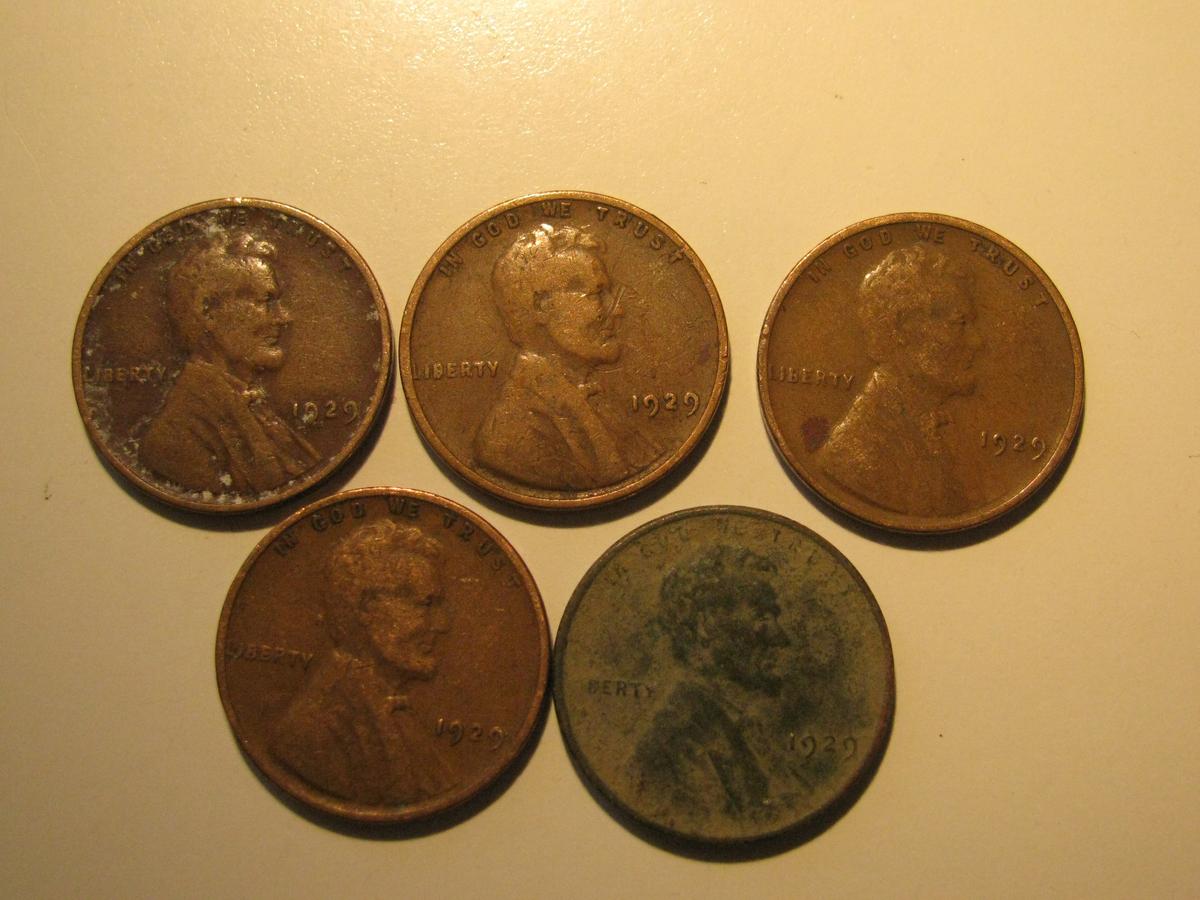 US Coins: 5x1929 Wheat Pennies