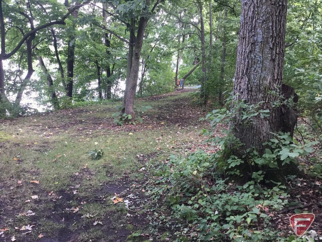 Historic Lake Hook Island with Cabin, Improvements and Access Easement.