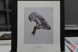 24inHx19inW print by Daniel Smith, Shoreline Sentinel-Peregrin Falcon 116/780,