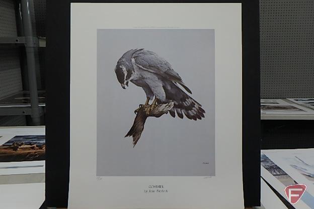 24inHx19inW print by Daniel Smith, Shoreline Sentinel-Peregrin Falcon 116/780,