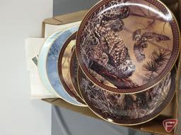 Collector Plates, Family Circles, Terry Redlin, Elegance of Nature, Where Eagles Soar,