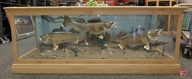 Wood and glass table with taxidermy fish, 28.5" W x 65" L x 24.75" H