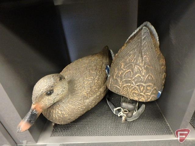 Duck decoys & (1) diving duck decoy. Carry-Lite Sport-Plast, Flambeau, Victor Majestic Decoys