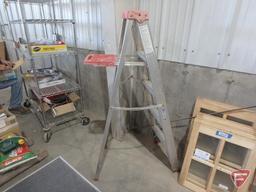 Werner aluminum 5' step ladder