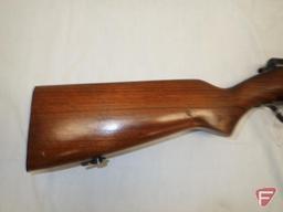 Marlin .22LR semi-automatic rifle