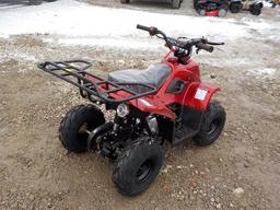 110 CC ATV c/w Full Suspension, Auto Transmission, Elec Start Serial: L9NAC