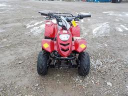 110 CC ATV c/w Full Suspension, Auto Transmission, Elec Start Serial: L9NAC