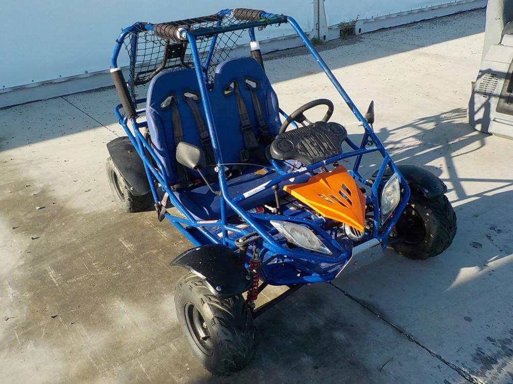 Go Cart, Child Size Blue