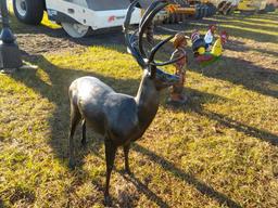 Life Size Aluminum Deer