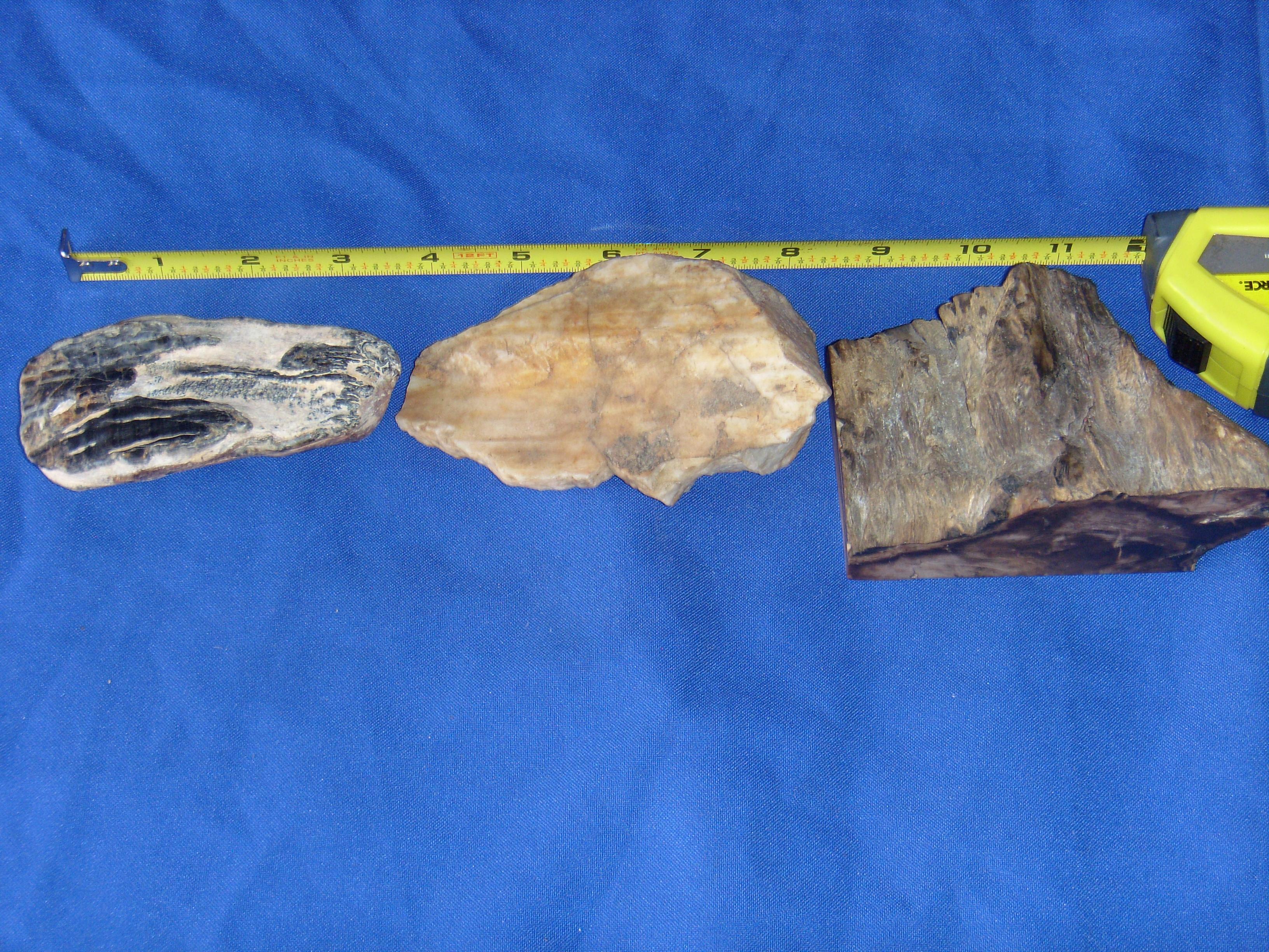 3  pieces of rocks and petrified wood