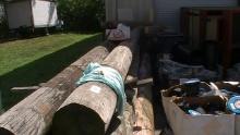 wooden power poles 24' long