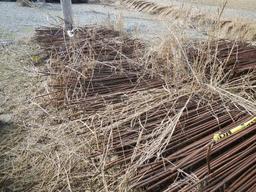 LOT OF REBAR LEVEE GATES