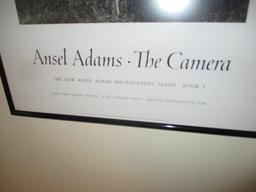 Ansel Adams - The Camera Poster - White Birch Trees 26" X 37"