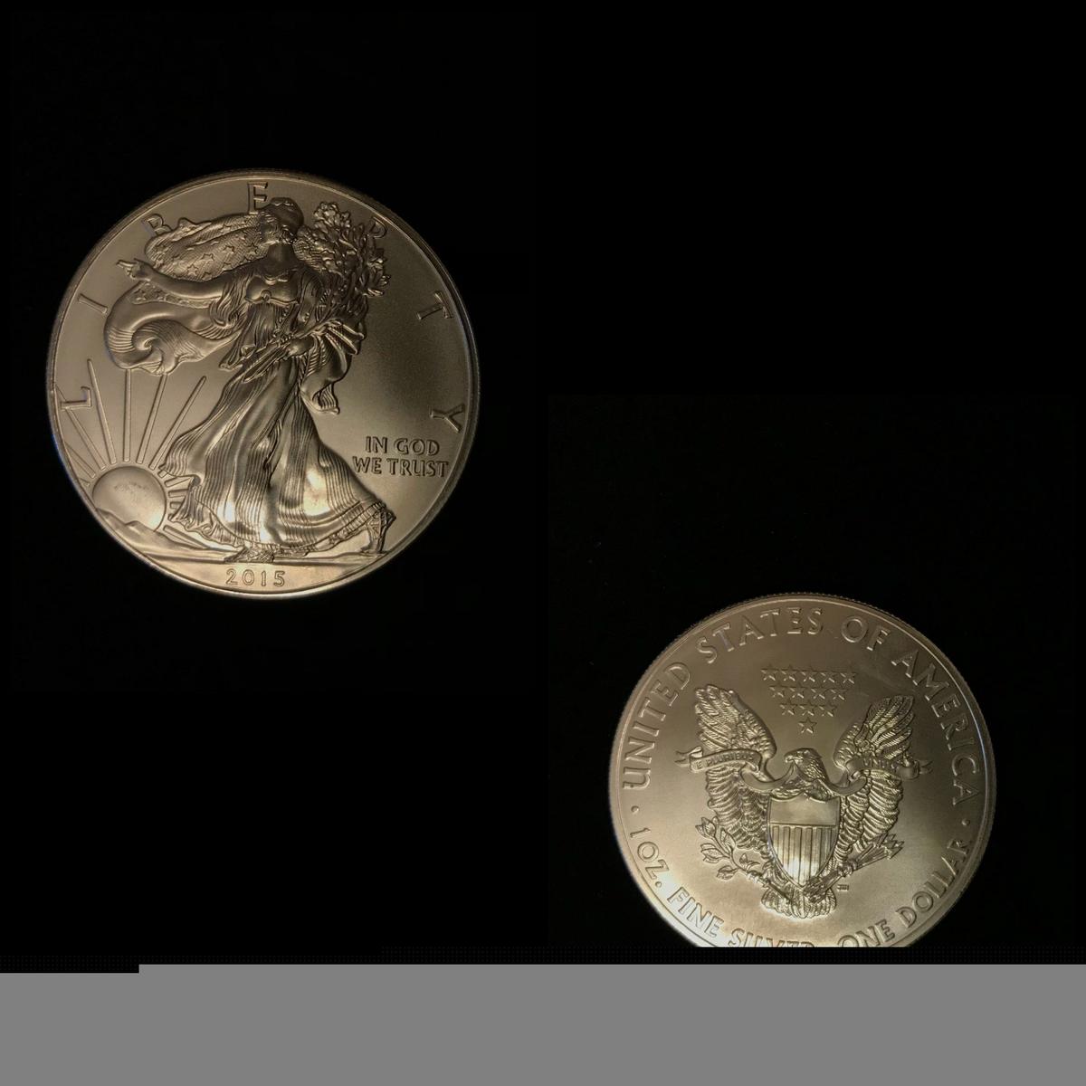 Silver Eagle Dollar