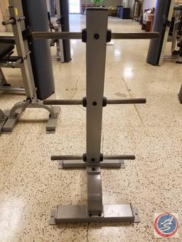 Precor 6-Arm Vertical Weight Plate Tree - Physical Fitness Gym Equipment (Model BMEMA25100043)