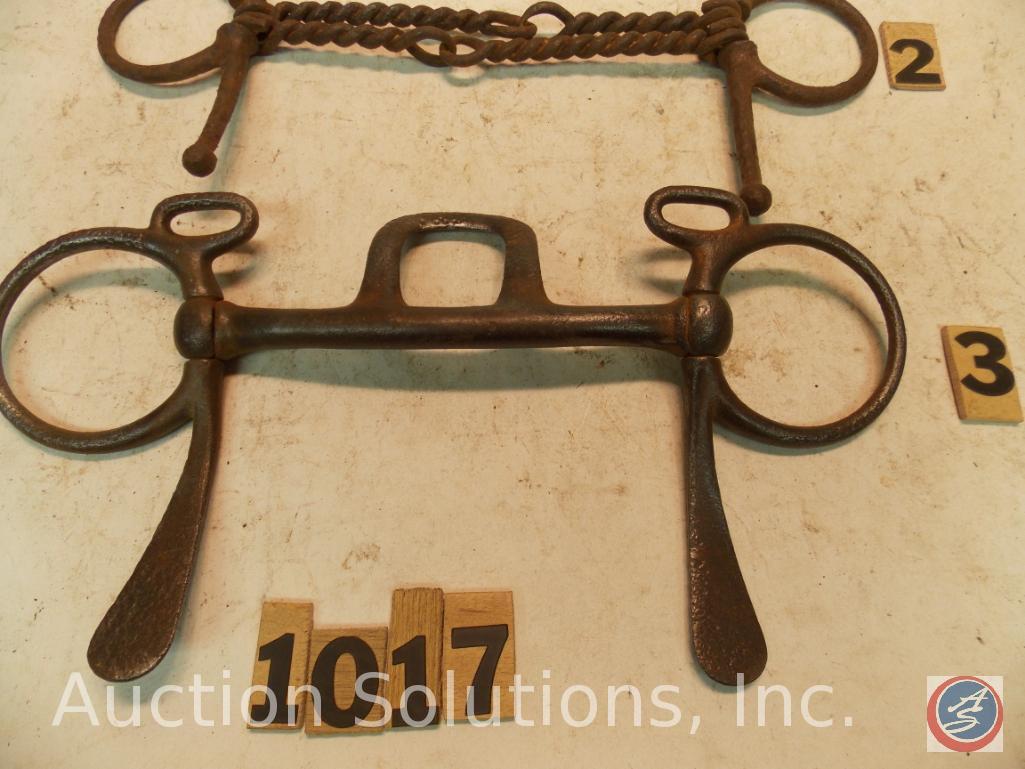 Single half spoon cheek Snaffle 5 in. with high curb, solid bar