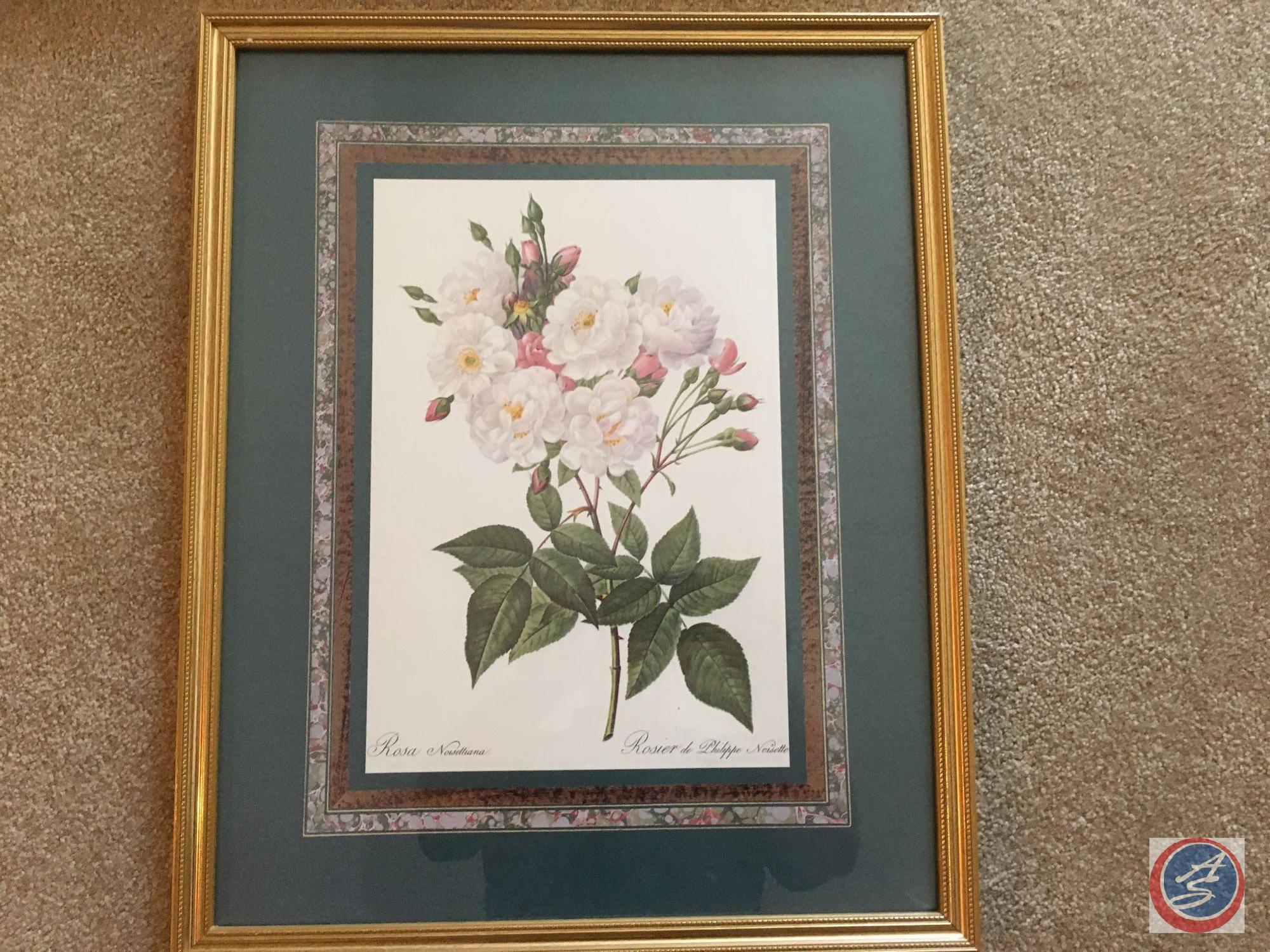 (2) Framed Print Signed Albera, Framed Print Marked Rosa Noisettiana "Rosier de Philippe Noisette"