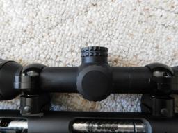 LUMINATED 2.5-10 SCOPE W/ MOUNTING RINGS