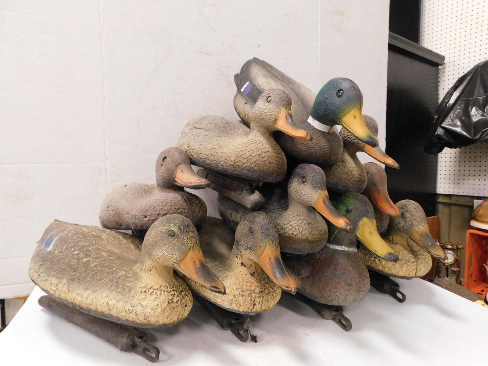 (10) ASSORTED MALLARD DUCK DECOYS W/ MESH BAG & WEIGHTS