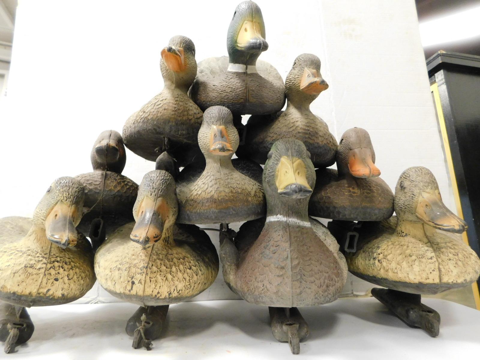 (10) ASSORTED MALLARD DUCK DECOYS W/ MESH BAG & WEIGHTS