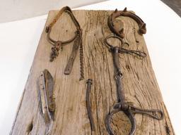 BARN BOARD DISPLAY W/ VINTAGE HORSE TACK