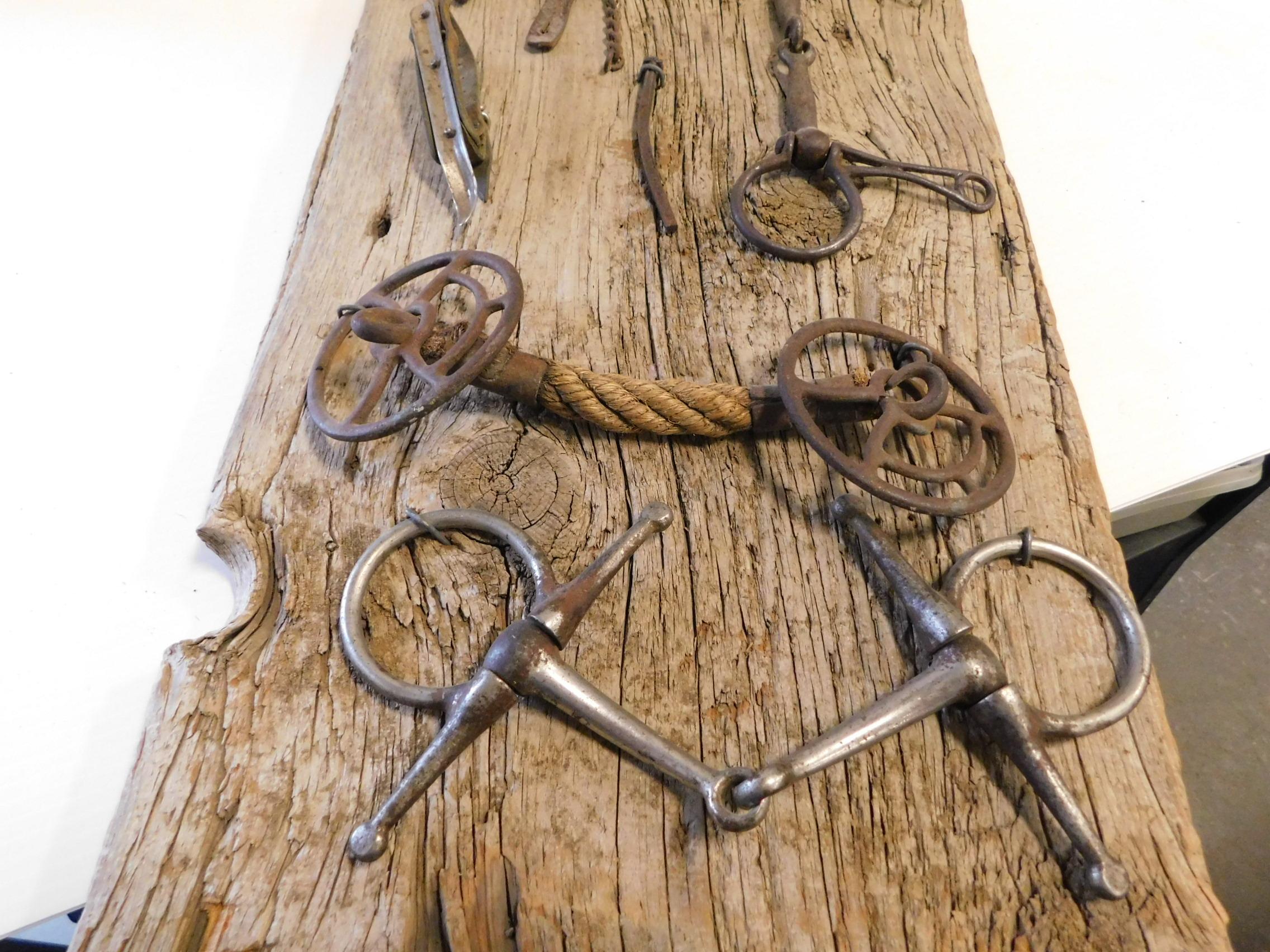 BARN BOARD DISPLAY W/ VINTAGE HORSE TACK