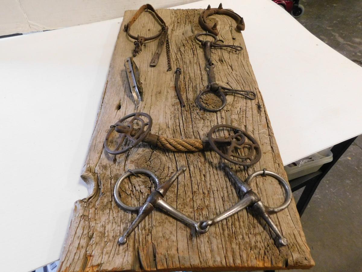 BARN BOARD DISPLAY W/ VINTAGE HORSE TACK