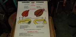 DR. SALSBURY'S LABORATORIES - POULTRY HEALTH CHARTS