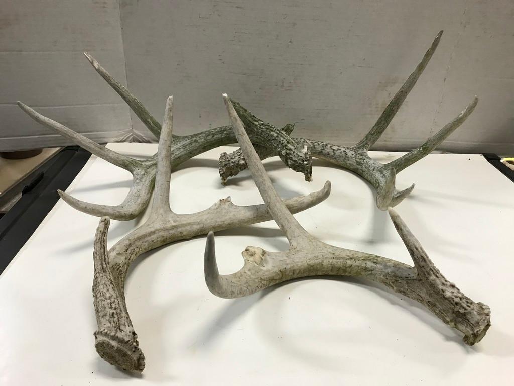 (2) SETS DEER ANTLER SHEDS