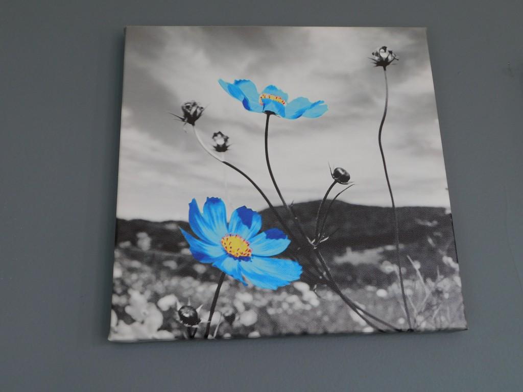 (4) BLUE FLORAL CANVAS DECORATOR PRINTS