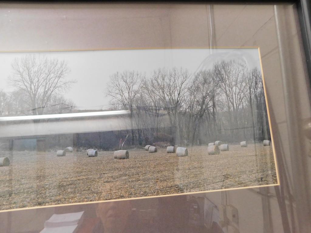 FRAMED & MATTED BALES IN A HAY FIELD PHOTO
