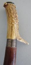 1881 STERLING SILVER & STAG CANE WALKING STICK