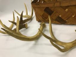 (2) Pair Of Antlers-Believe To Be Resin