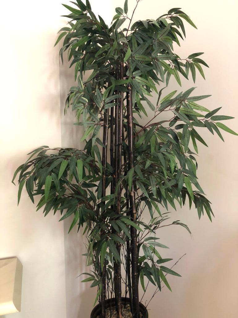 Silk Bamboo Plant W/Planter